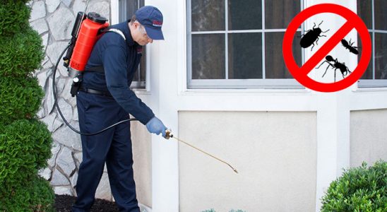 Akdağmadeni Fare İlaçlama böcek ilaçlama ve haşere kontrolü — ilaclama-tr.com